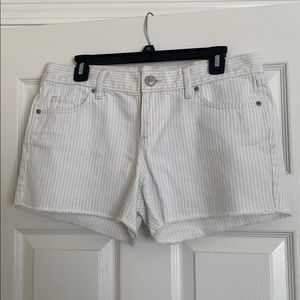 Loft Seersucker blue and white shorts brand new